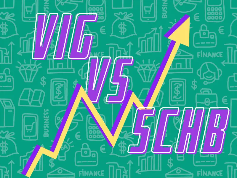 VIG vs SCHB (What you need to know)